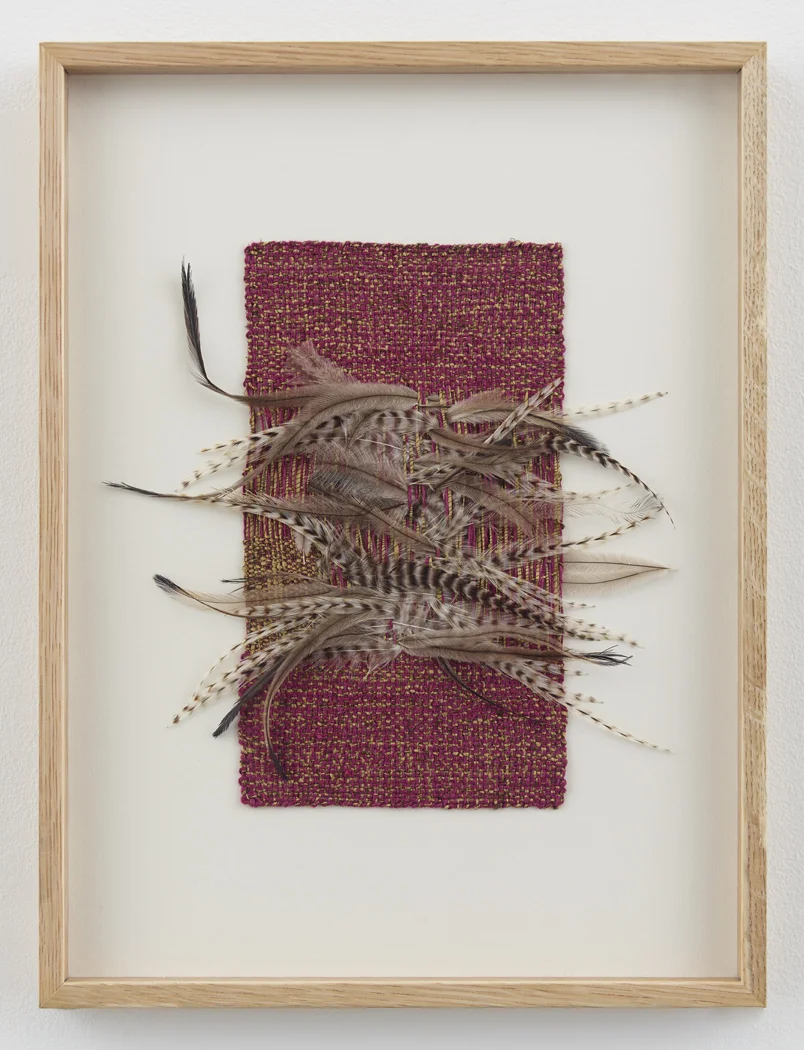 SHEILA HICKS | 2015 — Sikkema Malloy Jenkins